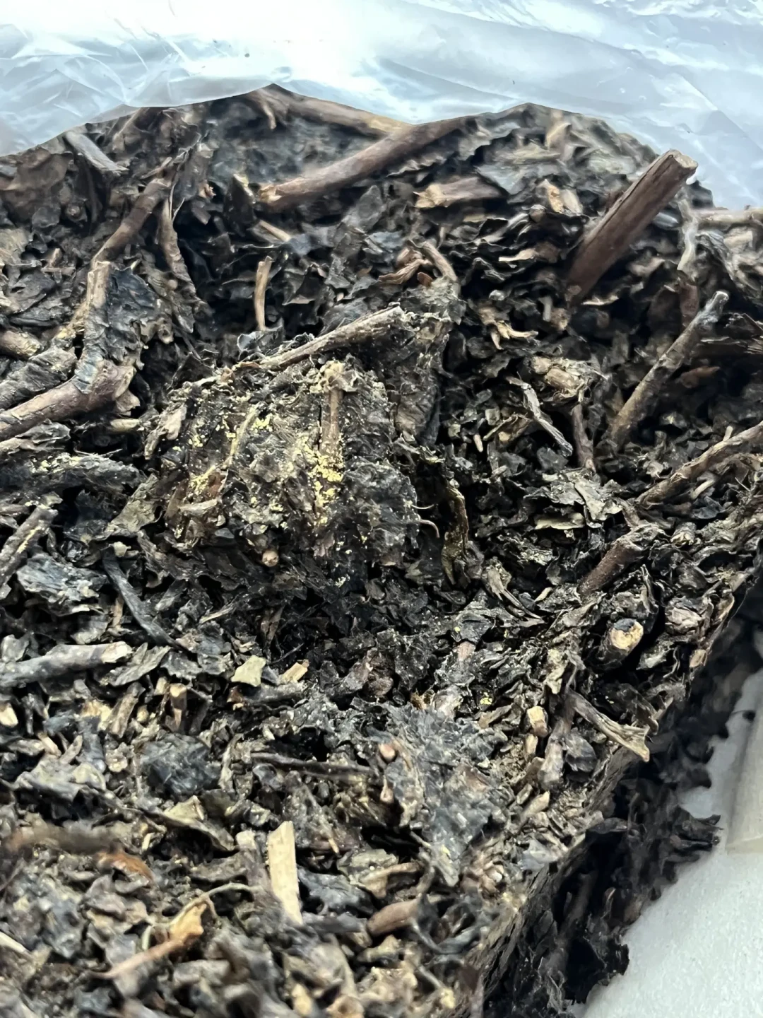 9月两拨茶圈人正在为