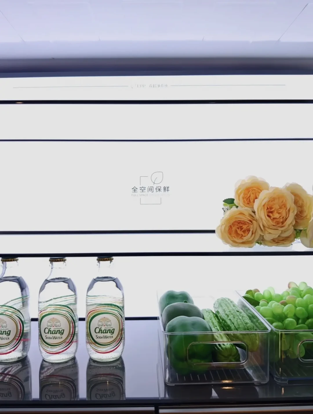 9月门店改推的“大海鲸”对上了云溪Max630同款机：线上620到手6000出头、631门店起报8000——金九银十砍价前，先对完这三本账