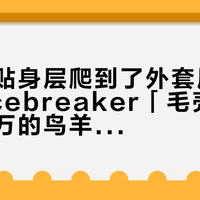 羊毛从贴身层爬到了外套层：5999的icebreaker「毛壳」和被炒上万的鸟羊毛软壳，先分清羊毛在干嘛，再决定买谁