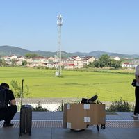 88元给爱车买张高铁"座位",但北京地铁试点双节不对开:中秋国庆带车上车前,先分清4条路、算清3笔账、记住3条红线