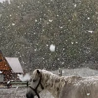 禾木实拍说秋色才加载35%,去年四场初雪全落在国庆后:中秋国庆去阿勒泰,先把色、假、雪、钱四只钟对完