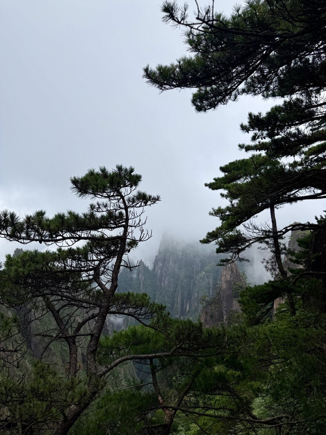 天都峰秒没、泰山挤到停检:距国庆还有19天,先算清这三笔账再上山