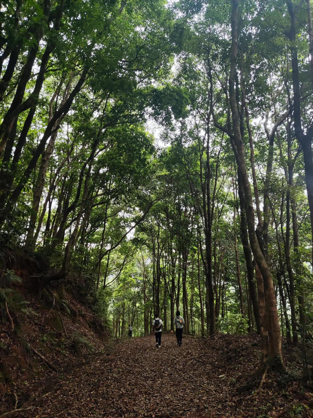 一个月9个知乎新问题，全在问登山买什么装备：横评下来，只有鞋子没有争议