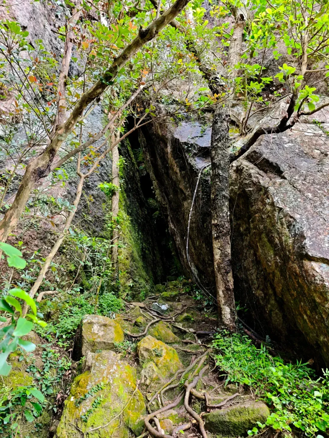 一个月9个知乎新问题，全在问登山买什么装备：横评下来，只有鞋子没有争议