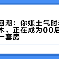老中式回潮：你嫌土气时看都不看的红木，正在成为00后挤不进去的第一套房