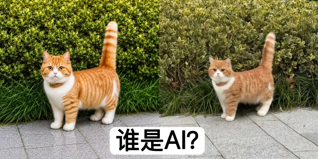被打了