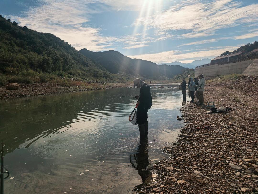 鳟鱼季开季:管理场还是进山?飞钓第一竿的路线、竿号与饵链怎么选