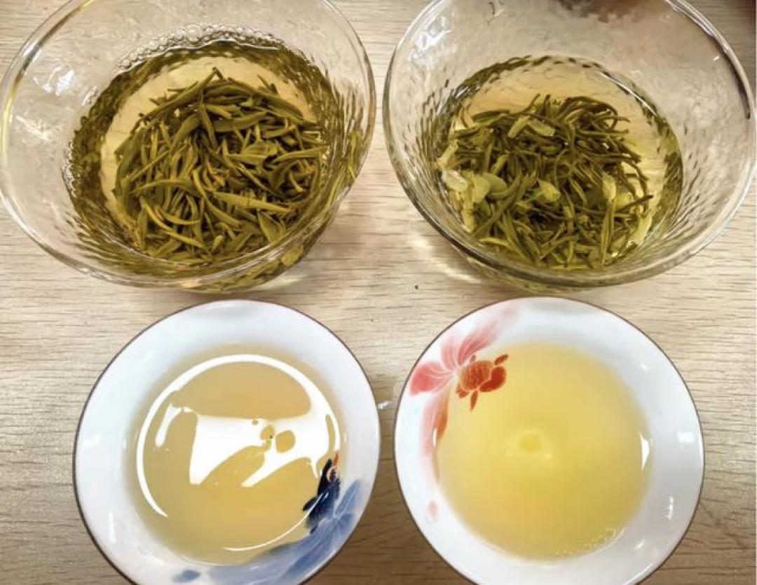 花价从5块跳到50块,茉莉花茶要涨了吗?中秋前,先把今年这趟花价过山车看明白