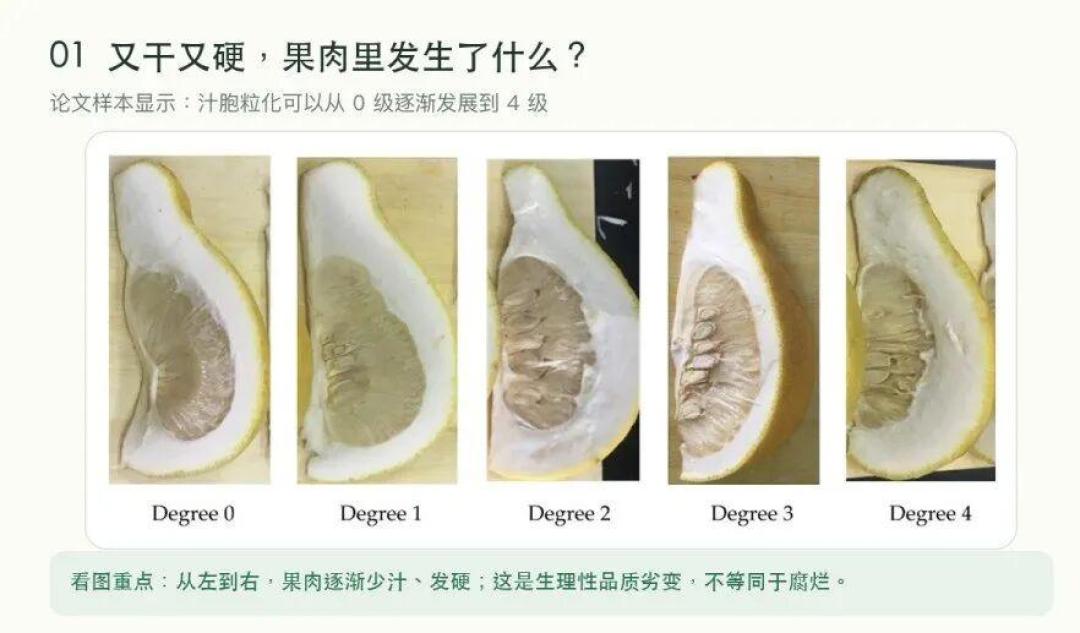 红心柚不一定比白肉甜,干柴的也不一定是放久了:中秋前13天,买柚子看这篇