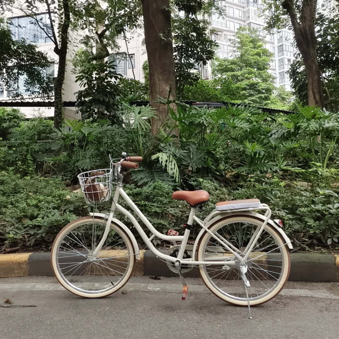 400元的飞鸽女式车:颜值是真的,