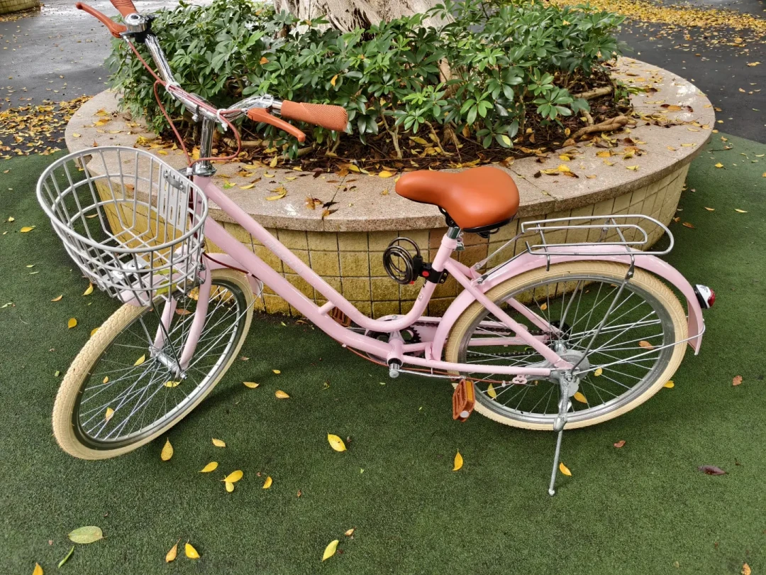 400元的飞鸽女式车:颜值是真的,