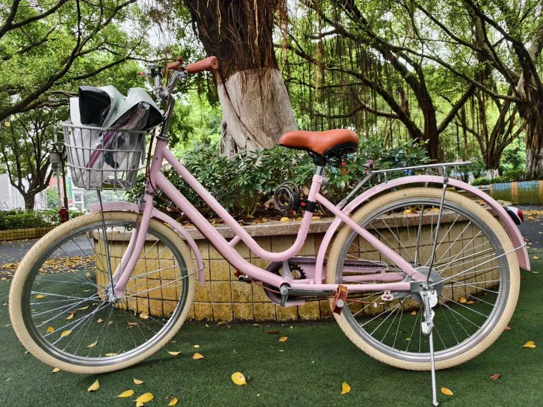 400元的飞鸽女式车:颜值是真的,