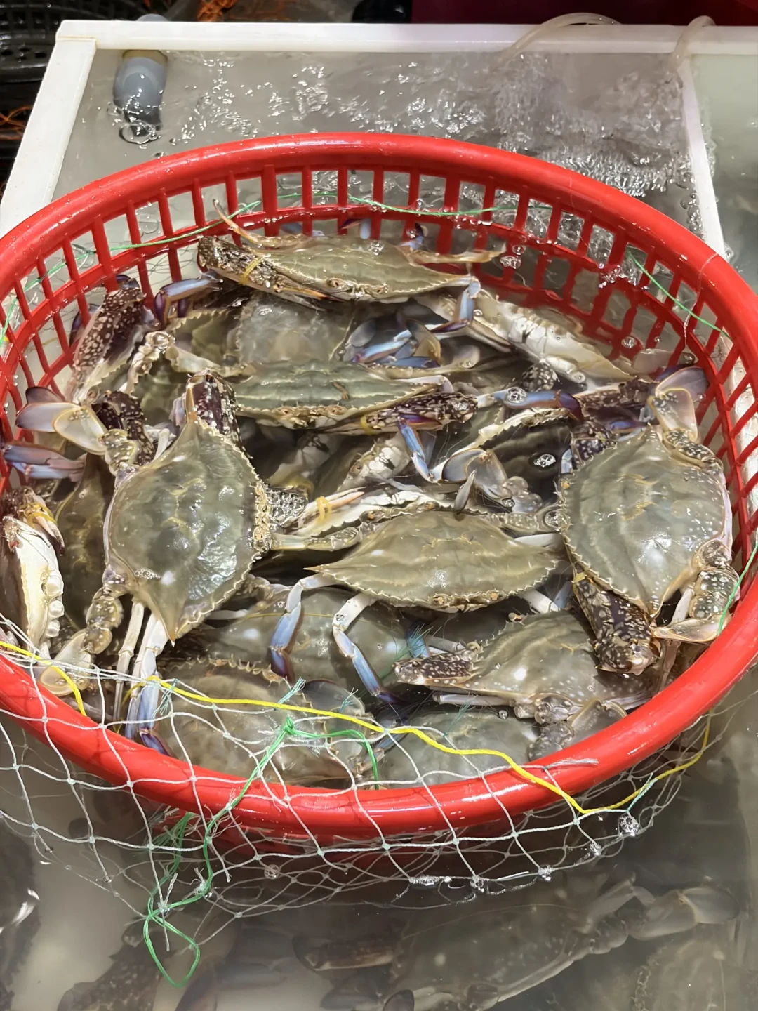 开海≠马上降价,“野生”也不加一分钱:东海全面开渔只剩3天,先把买海鲜的日历对清楚