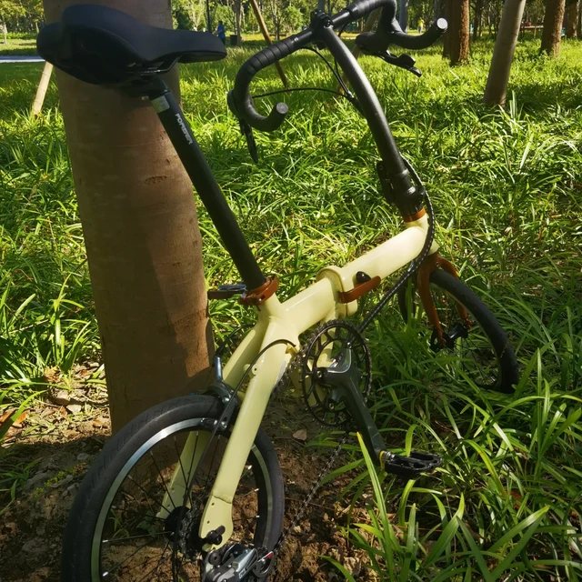 500块的永久折叠车到底能不能骑？我把全网真实车主帖翻完了，它和大行的差距就一句话