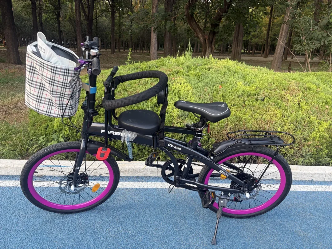 500块的永久折叠车到底能不能骑?我把全网真实车主帖翻完了,它和大行的差距就一句话