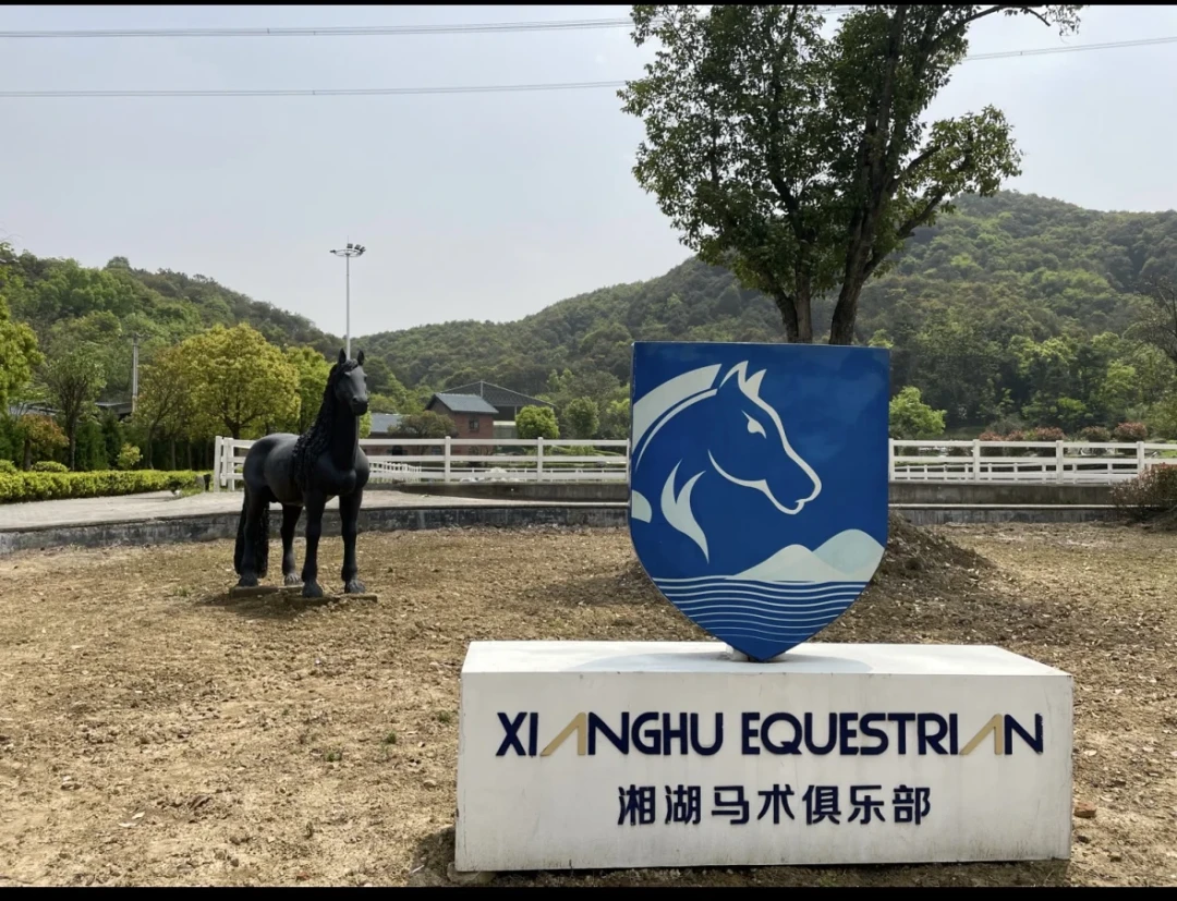 考级不保过,喜报却全员通过:拆完今年30多条马术陪考帖,三套体系的账、6岁的门槛、中考和爬藤的话术一次说清