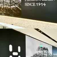 买火柴棍别问"正码偏码"：9份身材报告拆穿欧码陷阱——不是"偏大"，是"长窄"，双11前一次说清