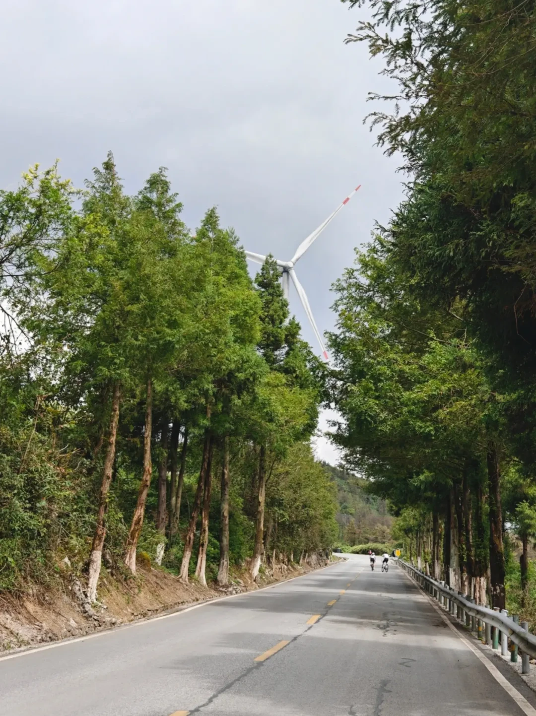 14天骑行318到拉萨?聚合9月数十条真实骑行日记:川藏线的诚实时间、费用与风险