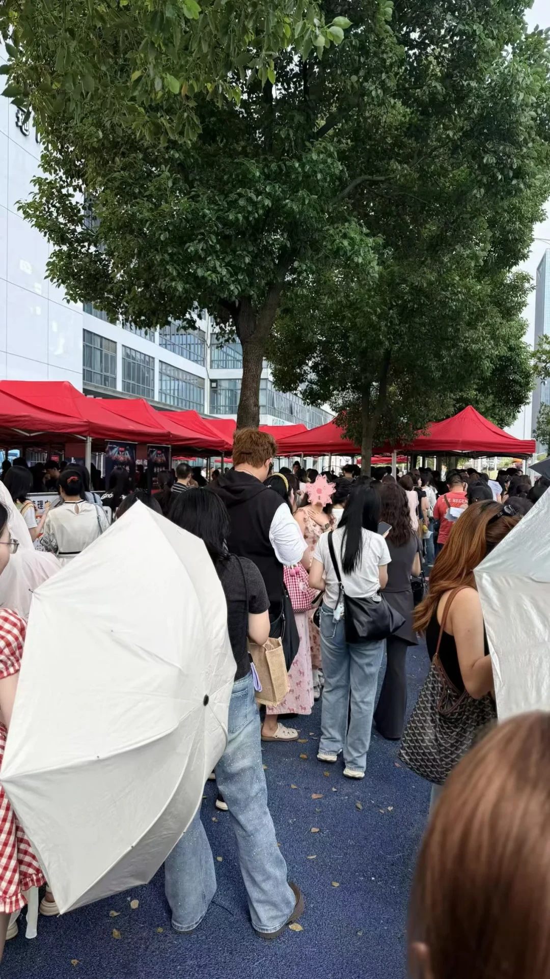 披哥6下周六日直播三公：官方开奖日、大众评审、黄牛“录信息”报价和影城巨幕，把“去不去现场”这笔账一次算清