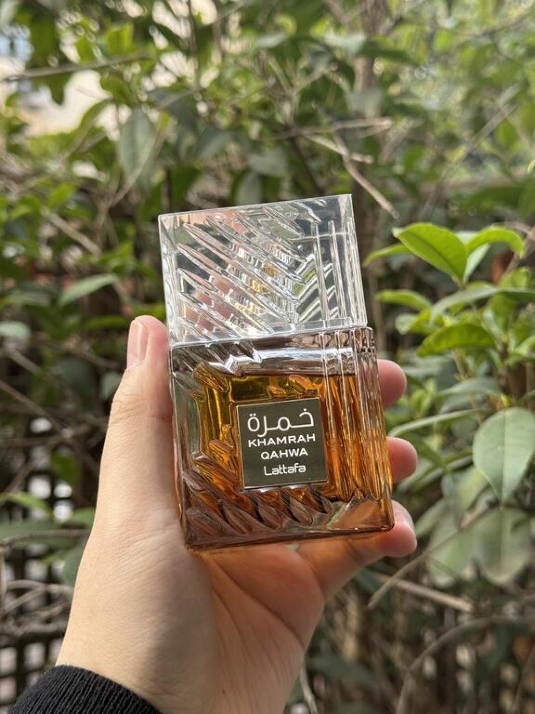 中东香终于要