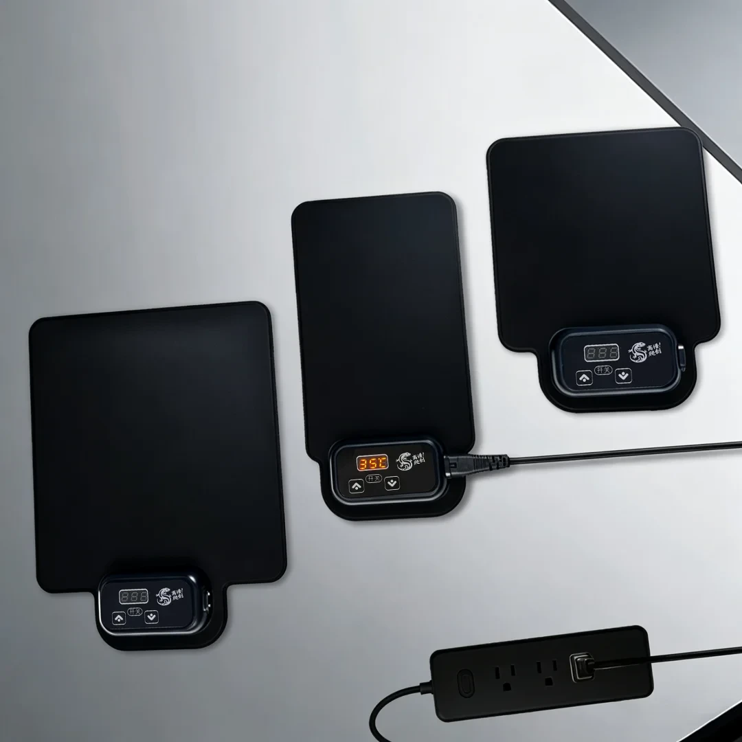 66元的玉米蛇刚到家,降温就来了:冬眠还是加热?这笔过冬账一次算清