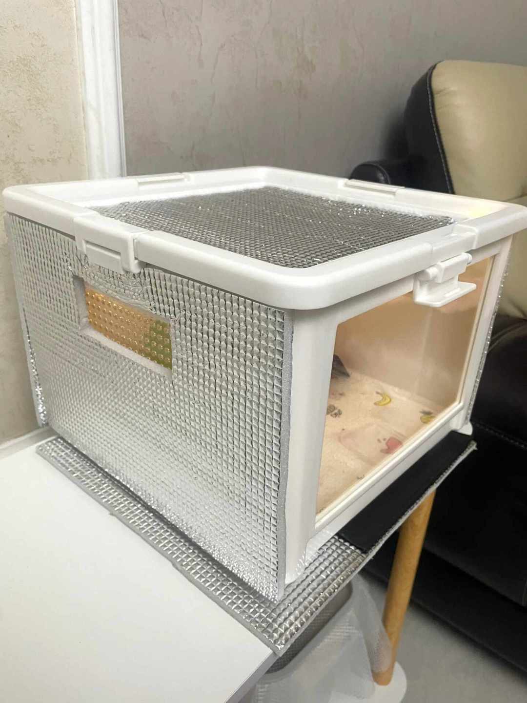 室温马上跌破20℃:南方无暖气区蛇宠的