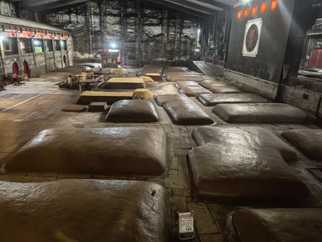 399变499、去年199都卖不完:泸州老窖冠名的国庆音乐节,冲泸州前先算清三笔账