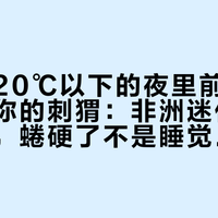 第一个20℃以下的夜里前，先去看一眼你的刺猬：非洲迷你刺猬不冬眠，蜷硬了不是睡觉是濒死——“活埋”惊魂，这个秋天别再发生第二次