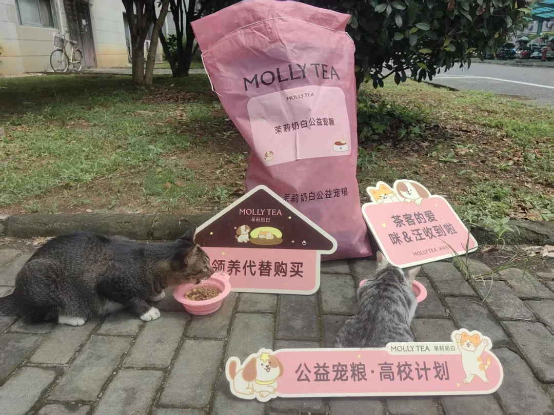 九月,品牌排着队给校园猫协送粮:我对完8个公益猫粮通道,两个本周关闸,领粮还得先看清