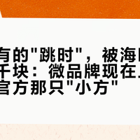 朗格才有的"跳时"，被海鸥机芯做成几千块：微品牌现在上车，还是等官方那只"小方"？