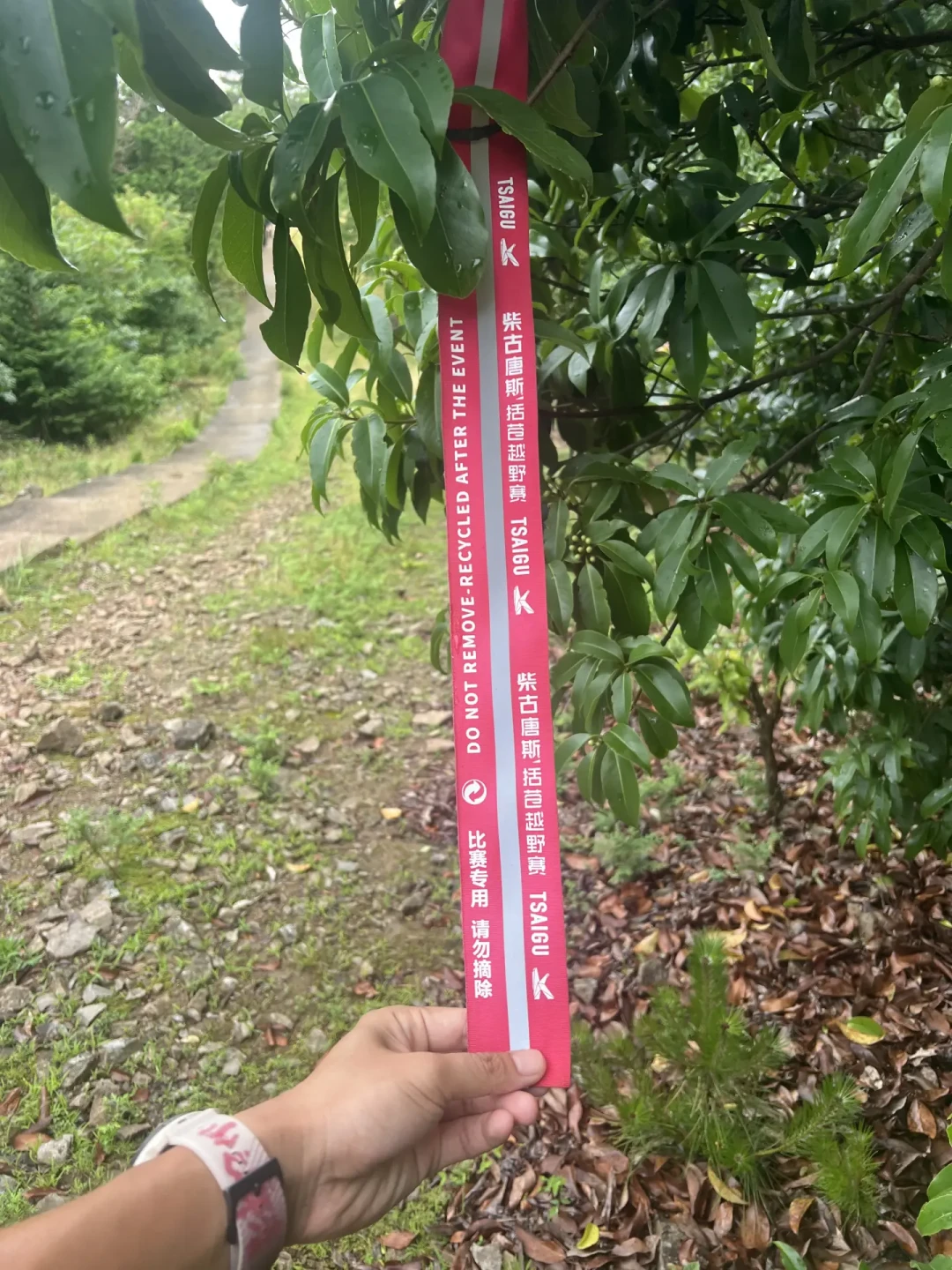 5304个中签者盯着1936个编号:柴古开跑前48天,这块联名表的三笔账先算清