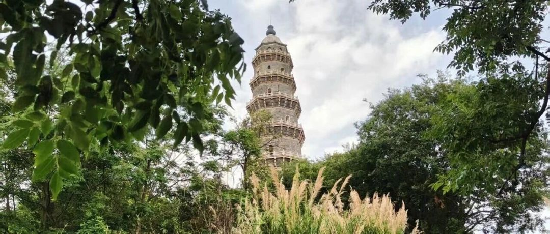 8到9月刷屏的