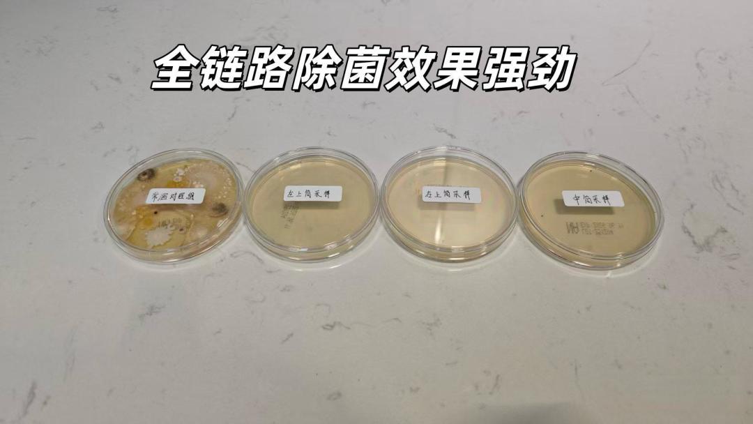 医生建议内裤袜子放洗衣机混洗？满足这些条件比手洗更干净