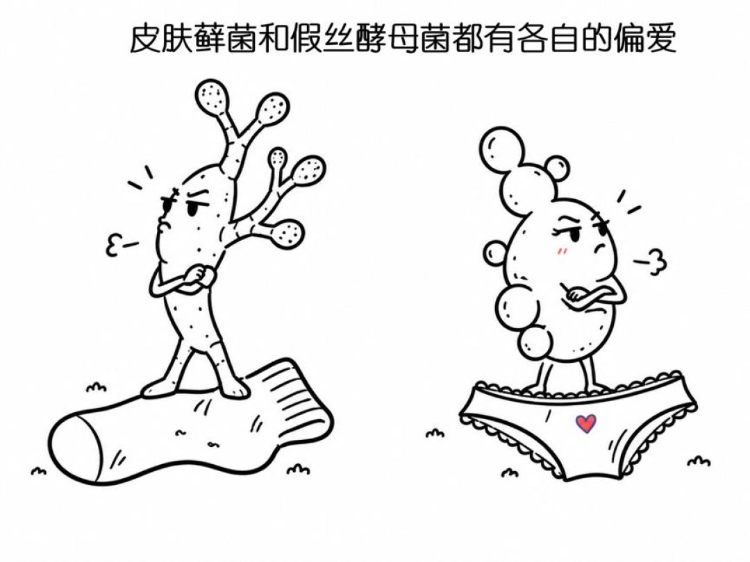 内裤袜子混洗会交叉感染吗?医生:满足条件比手洗更干净