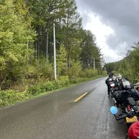 今年摩旅G331：485公里只有一座加油站，秋景一茬只有20天，导航不如评论区