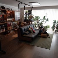 秋天的氛围感直接在放家里！