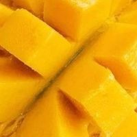 南方夏日芒果的香气与风味
