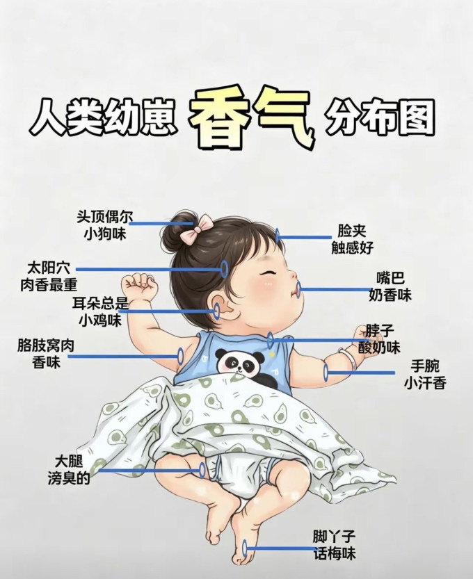 正福康婴儿日常护理
