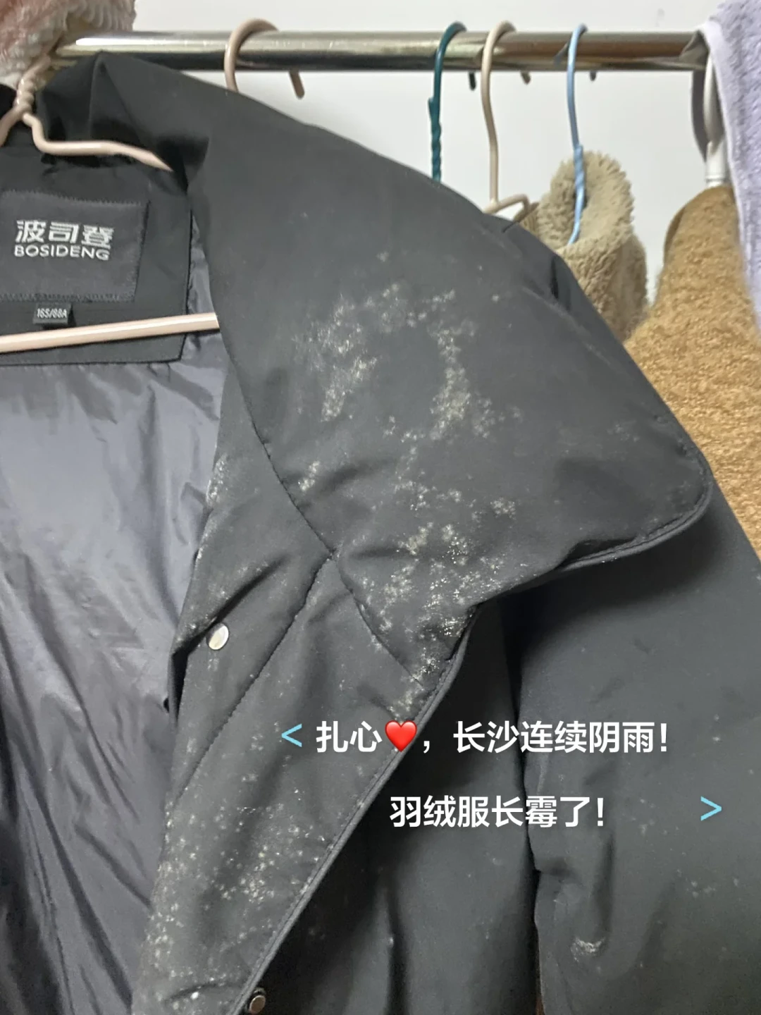 衣服翻出来长霉斑?别急着刷、泡84、扔:先看霉长多深、什么面料,再决定怎么救