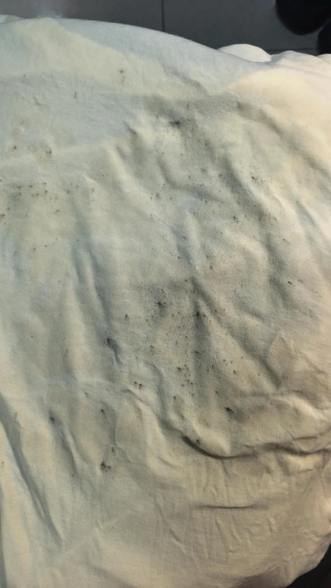 衣服翻出来长霉斑?别急着刷、泡84、扔:先看霉长多深、什么面料,再决定怎么救