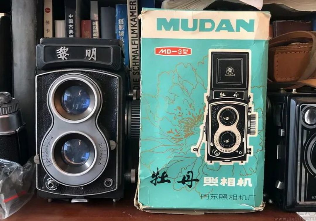 在无人在意的角落，传统单反相机“死了又活”