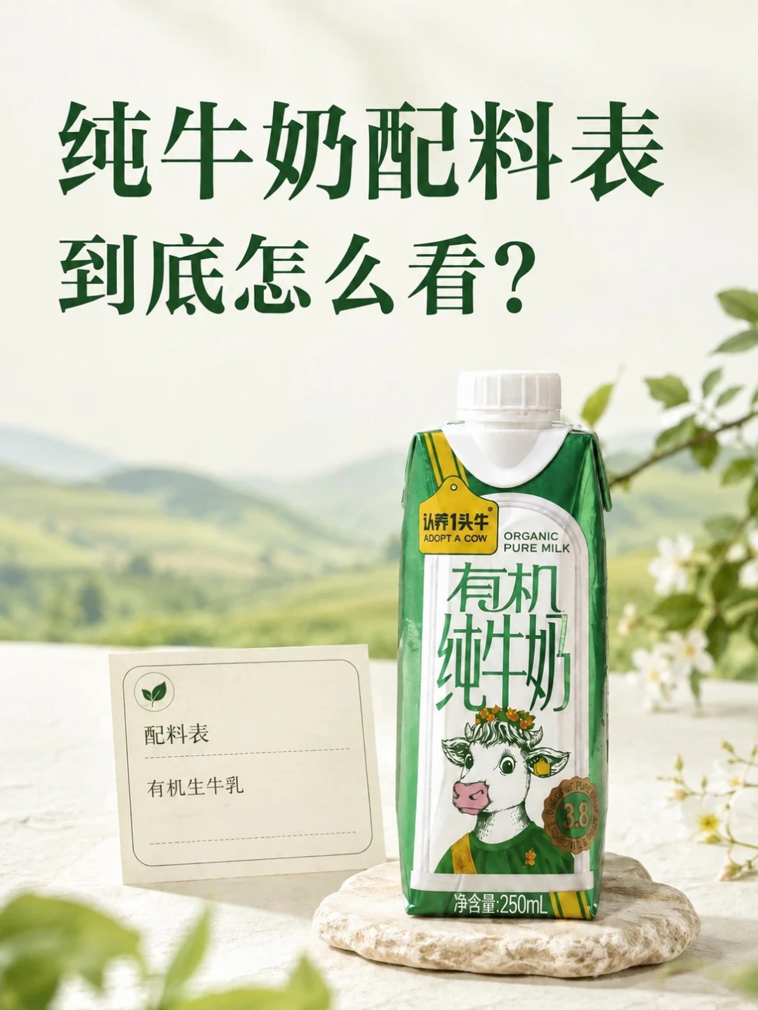 一罐「核桃乳」蛋白质0.88g被通报：它本来就不是奶——中秋买礼盒，先翻背面看「产品类型」三个字