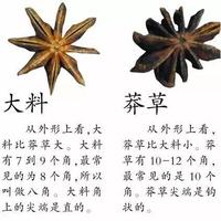 八角和莽草分不清？教你四招快速识破毒调料