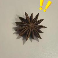 八角还是莽草？煮饭时多一个角差点要命，已有3人因此死亡，认准3点能救命