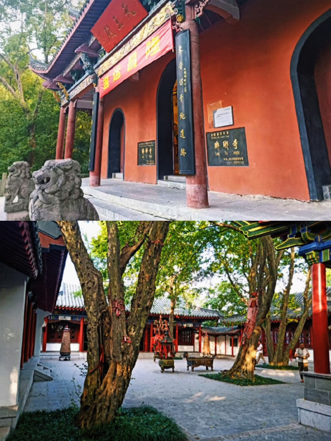 国内度假
