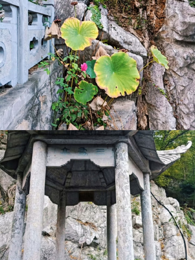 国内度假