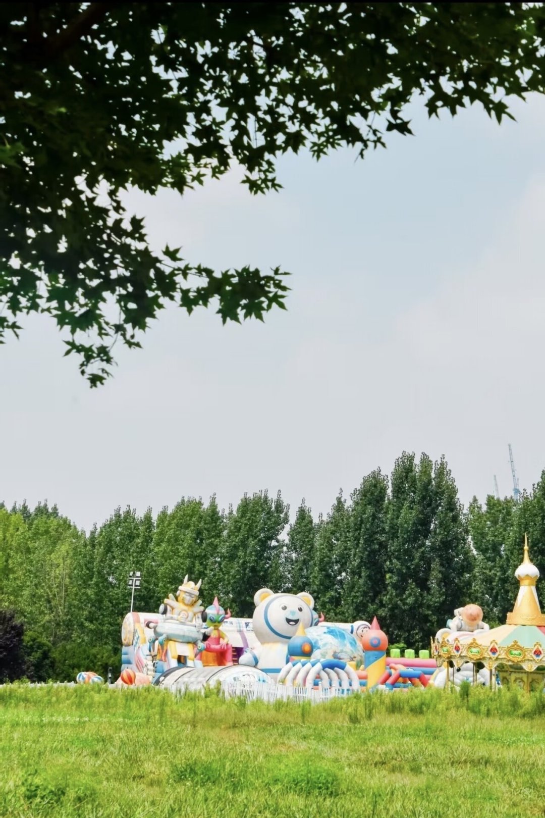 杜邑不让在树下搭天幕之后:双节出门前,先把那根风绳拉短