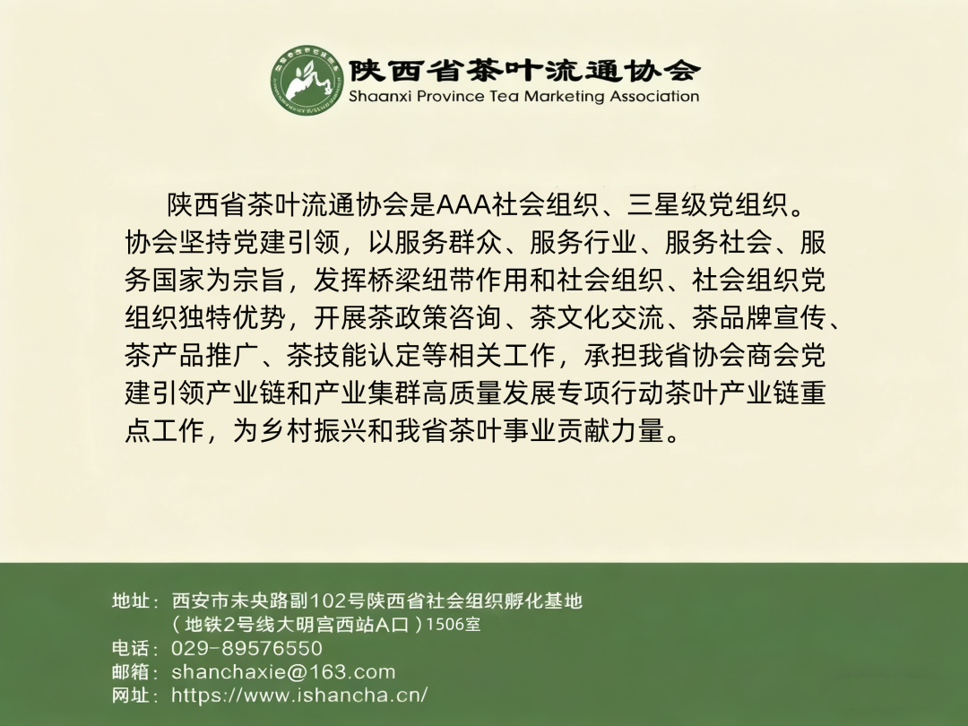 今年的