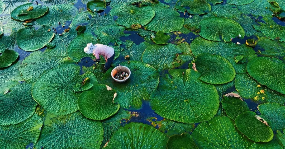 一边官宣