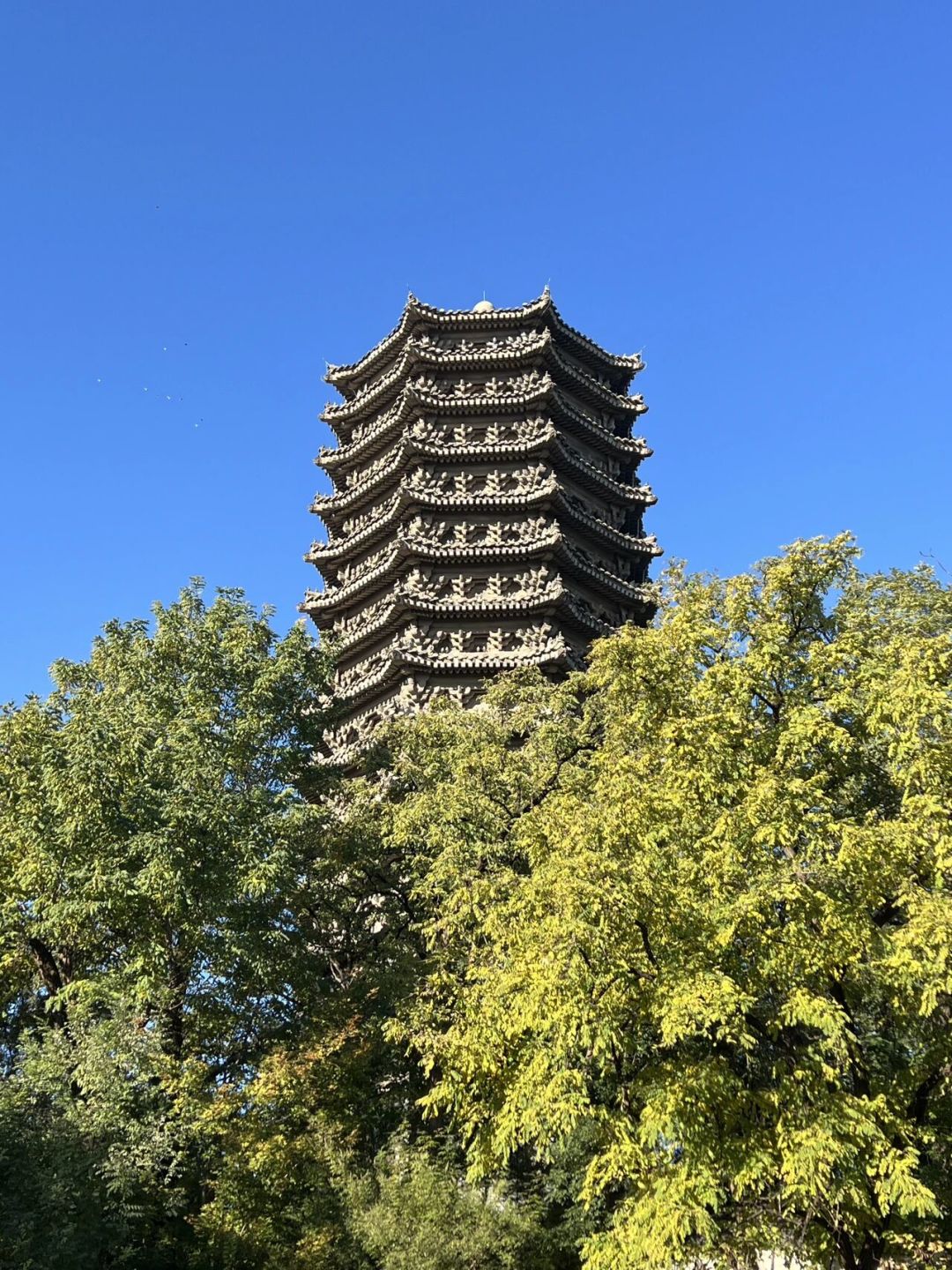 预报名临近,50所「教写作」的硕士院校摆开:门票从2万4到20万,想靠考研学写作的先把这三笔账算完